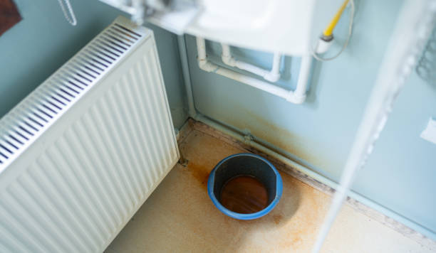 Best Carpet water damage restoration  in Lemmon Valley, NV